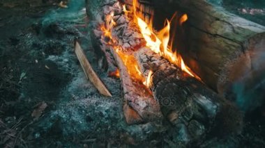 Arka plan bir ateşten bir günlük Burns. Dolly atış. Ağır çekim