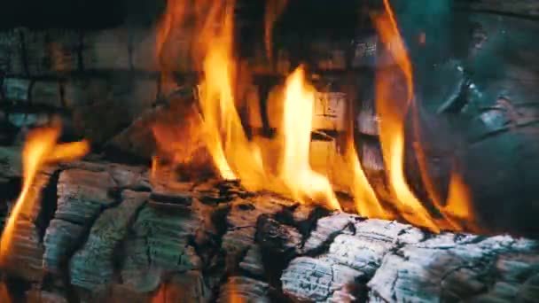 Le feu des branches brûle dans la forêt. Mouvement lent — Video