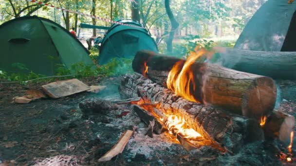 Fogueira queima no acampamento em meio a uma tenda e registra na floresta — Vídeo de Stock