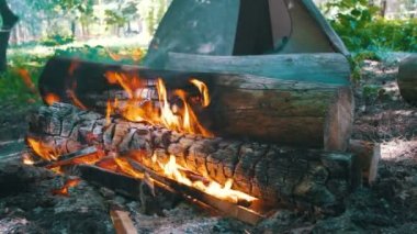 Bir çadır kamp içinde şenlik ateşi Burns ve ormanda günlüğe kaydeder