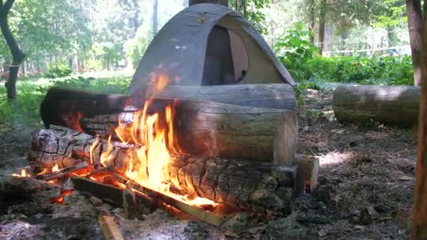 Костёр горит в кемпинге посреди палатки и бревен в лесу — стоковое видео