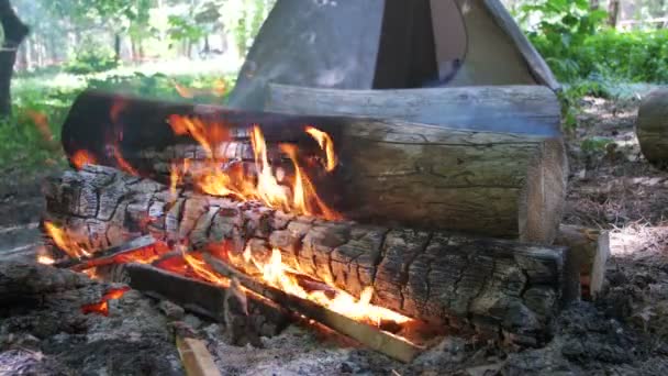 Płonie ognisko w Camping pośród namiot i rejestruje w lesie — Wideo stockowe