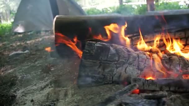 Fogueira queima no acampamento em meio a uma tenda e troncos na floresta. Movimento lento — Vídeo de Stock