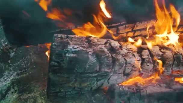 Blick von oben auf das Lagerfeuer, bei dem die Äste im Wald brennen. Zeitlupe — Stockvideo