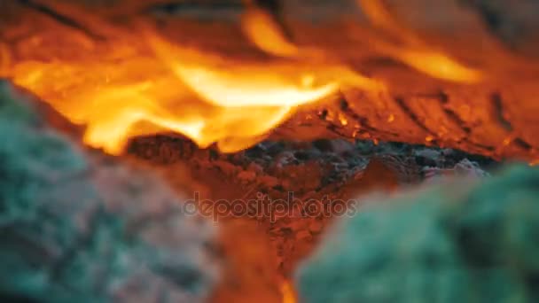 Vreugdevuur van het branden van de takken in het bos — Stockvideo
