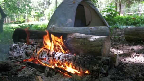 Fogueira queima no acampamento em meio a uma tenda e troncos na floresta. Movimento lento — Vídeo de Stock