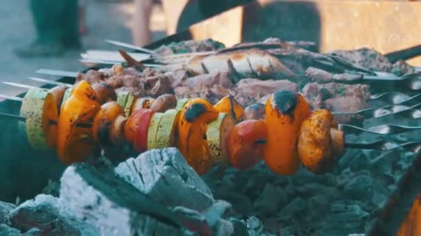 Churrasco com deliciosa carne grelhada e legumes cozidos na grelha — Vídeo de Stock