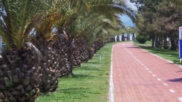 Fietspad en palmbomen in het Resort in de stad — Stockvideo