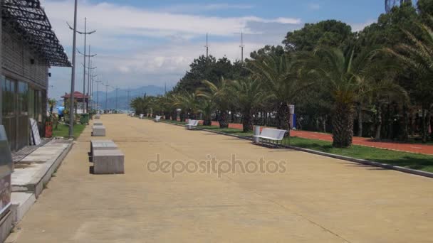 Embankment of Batumi, Georgia. Caminho de bicicleta e palmeiras perto da costa do mar — Vídeo de Stock