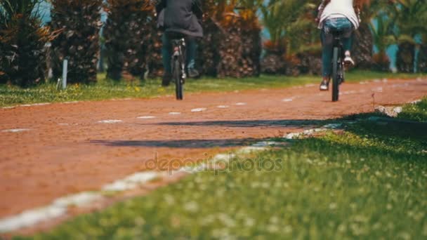 Pessoas a andar de bicicleta em Bike Lane. Caminho vermelho com sinal para ciclistas e palmeiras. Movimento lento — Vídeo de Stock