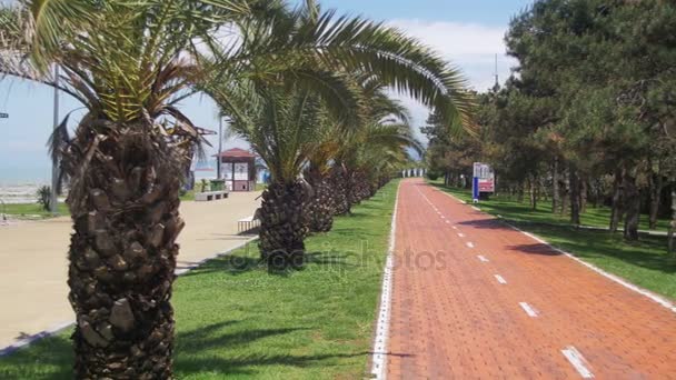 Roter Weg mit Schild für Radfahrer und Palmen in der Kurstadt — Stockvideo