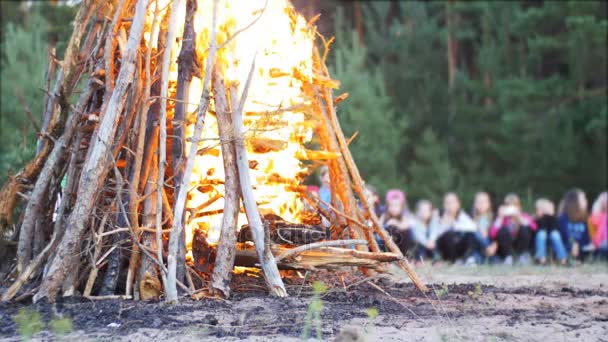 Hoguera de las Ramas Quema en la Noche en el Bosque en el Fondo de la Gente — Vídeo de stock