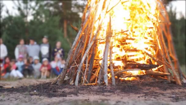 Lägereld av grenar brännskadan på natten i skogen på bakgrunden av personer — Stockvideo