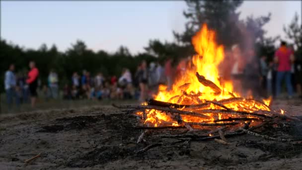 Костер ветвей горит ночью в лесу на фоне людей — стоковое видео