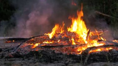 Ormanda geceleri dalları yanmak dan büyük kamp ateşi
