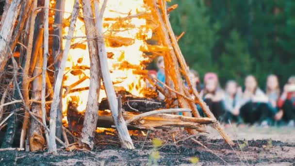 Campfire of the Branches Burn at Night in the Forest on the Background of People — Stock Video