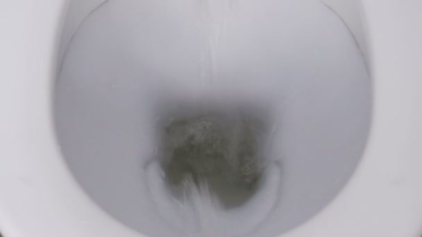 Toilet Flushed Top Down View — Stock Video