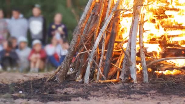 Lägereld av grenar brännskadan på natten i skogen på bakgrunden av personer — Stockvideo