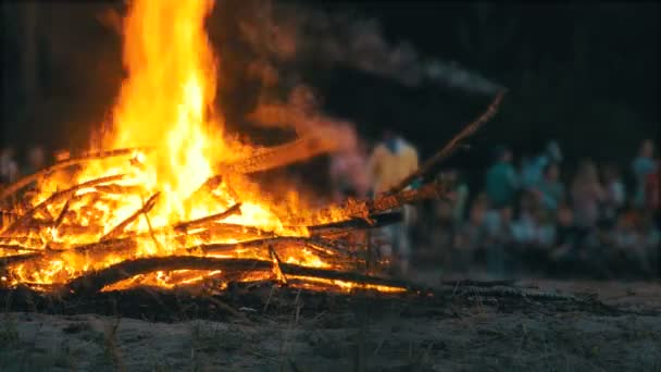 Ognisku palić oddziałów w nocy w lesie, na tle ludzi — Wideo stockowe