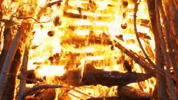 Groot vreugdevuur branden 's nachts — Stockvideo