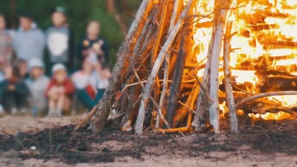 Le feu de camp des branches brûle la nuit dans la forêt sur le fond des gens — Video
