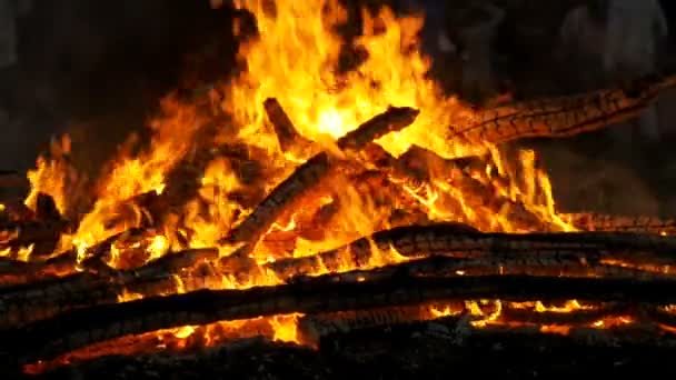 Hintergrund ist ein großes Lagerfeuer aus Ästen, das in der Nacht im Wald brennt. Zeitlupe — Stockvideo