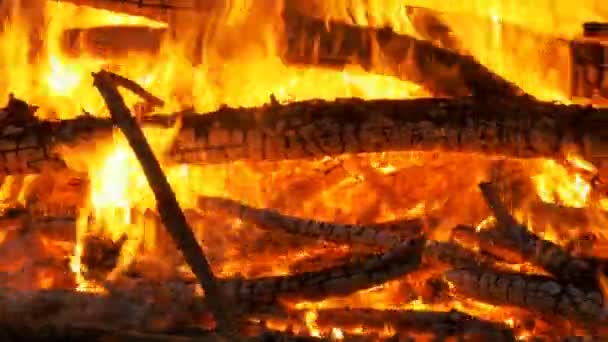 Grote kampvuur uit takken branden 's nachts in het bos — Stockvideo