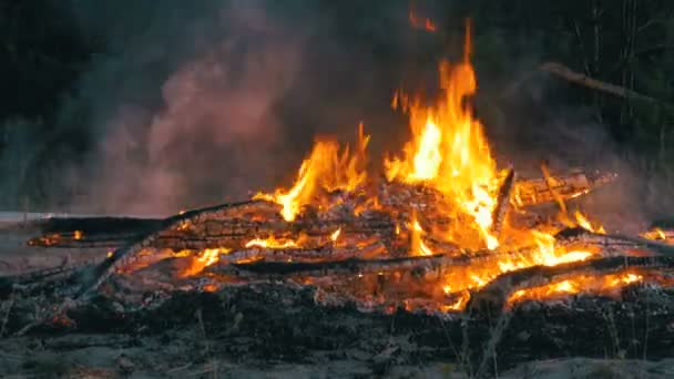 Geceleri yanan büyük ateşi — Stok video