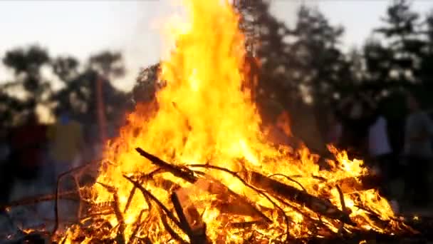 Großes Feuer, das in der Nacht brennt. Zeitlupe — Stockvideo