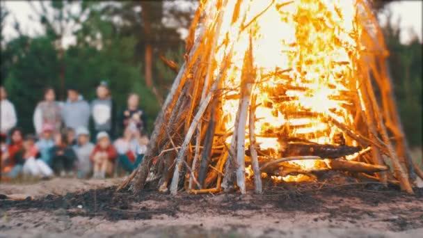 Campfire of the Branches Burn at Night in the Forest on the Background of People — Stock Video