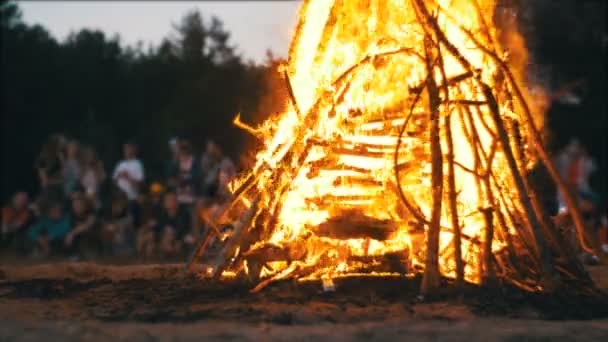 Вогнище гілок горить вночі в лісі на тлі людей — стокове відео