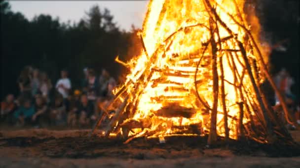 Ognisku palić oddziałów w nocy w lesie, na tle ludzi — Wideo stockowe