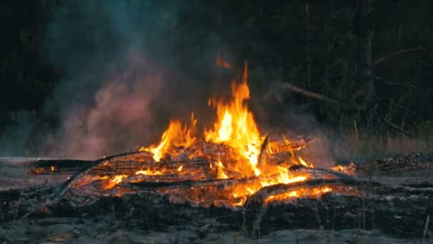 Fuego grande ardiendo por la noche — Vídeos de Stock