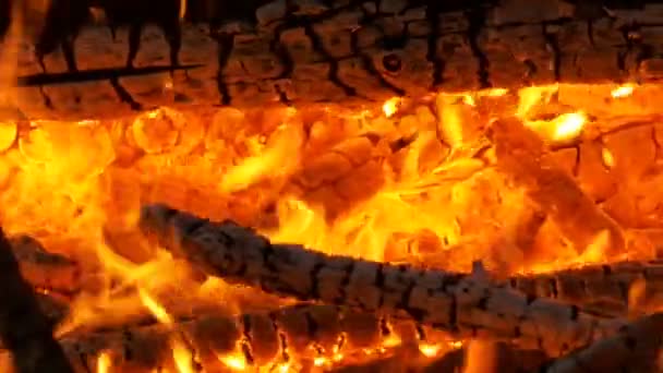 Большой костер от ветвей горит ночью в лесу — стоковое видео