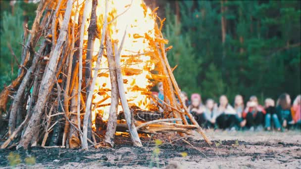 Le feu de camp des branches brûle la nuit dans la forêt sur le fond des gens 