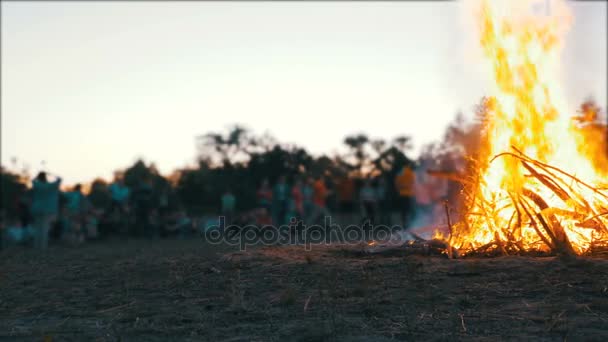 Campfire of the Branches Burn at Night in the Forest on the Background of People — Stok Video