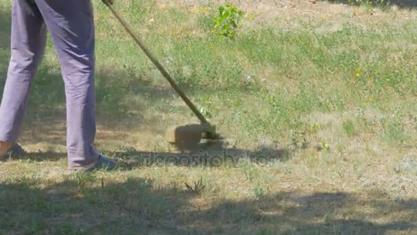 Tuinman maait gras met behulp van een draagbare grasmaaier — Stockvideo