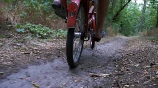 Gambe di un uomo in rivetti a cavallo di una bicicletta lungo un sentiero nella foresta. Rallentatore — Video Stock