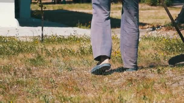 Jardinier Mows herbe à l'aide d'une tondeuse à gazon portable — Video