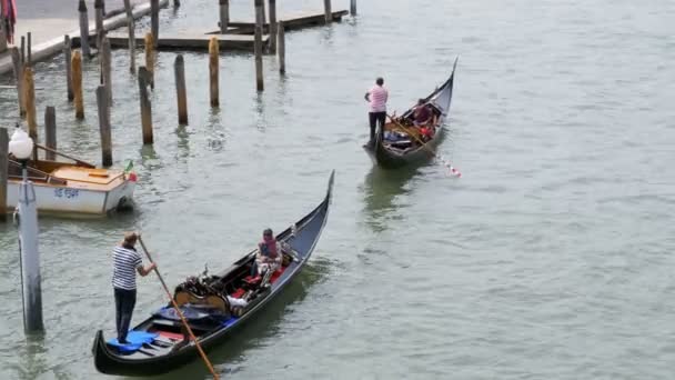 Gondoles avec les touristes naviguent à travers le Grand Canal de Venise — Video