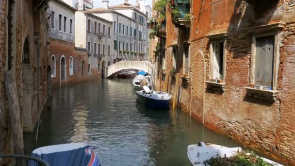 Маршрути руху транспорту Італії Великого каналу Венеції — стокове відео