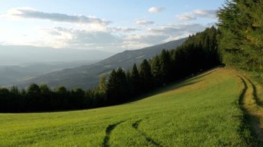 Panoramik Dağları ve yeşil çayır Alpler, Avusturya.