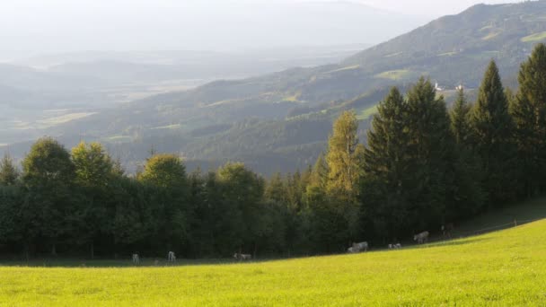 Panorámás kilátás nyílik a hegyekre és a zöld rét, az Alpokban, Ausztria. — Stock videók