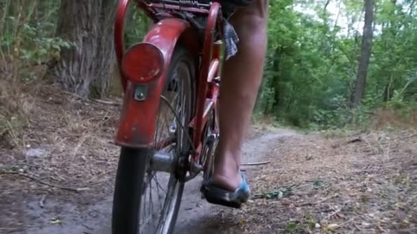 Gambe di un uomo in rivetti a cavallo di una bicicletta lungo un sentiero nella foresta. Rallentatore — Video Stock