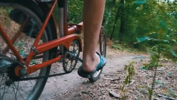 Egy ember egy kerékpár lovaglás egy ösvényen az erdő szegecsek lábak. Lassú mozgás — Stock videók