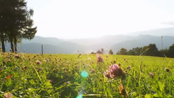 Panoramisch uitzicht op bergen en groene weide in de Alpen, Oostenrijk. — Stockvideo