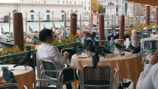 富有的观光客在意大利威尼斯的一家餐厅的桌子上喂鸽子 — 图库视频影像