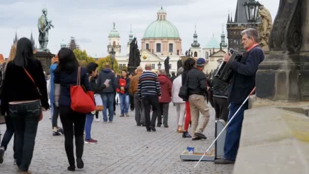 Egy harmonika utcai zenész játszik és énekel dalokat, a Károly-híd, Prága, Cseh Köztársaság — Stock videók