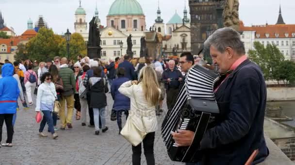 Músico de rua com um acordeão toca e canta canções na Ponte Charles, Praga, República Checa — Vídeo de Stock