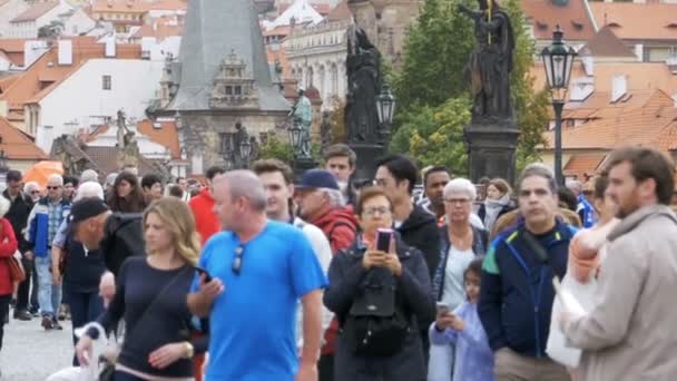 Crowd of people walking along the Charles Bridge, Prague, Czech Republic. Slow Motion — Stock Video